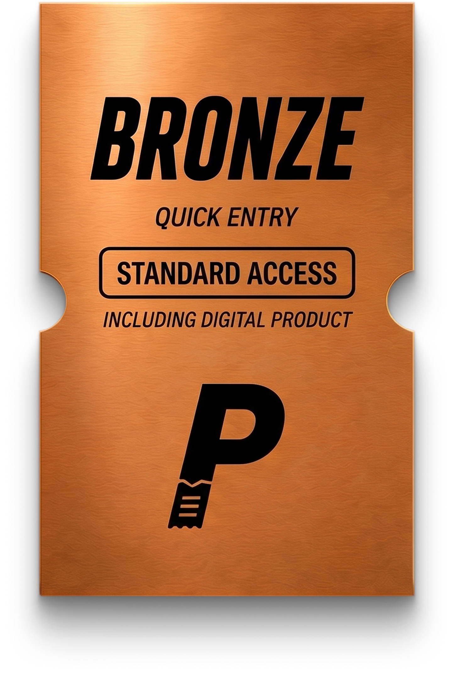 BRONZE DIGITAL ENTRY