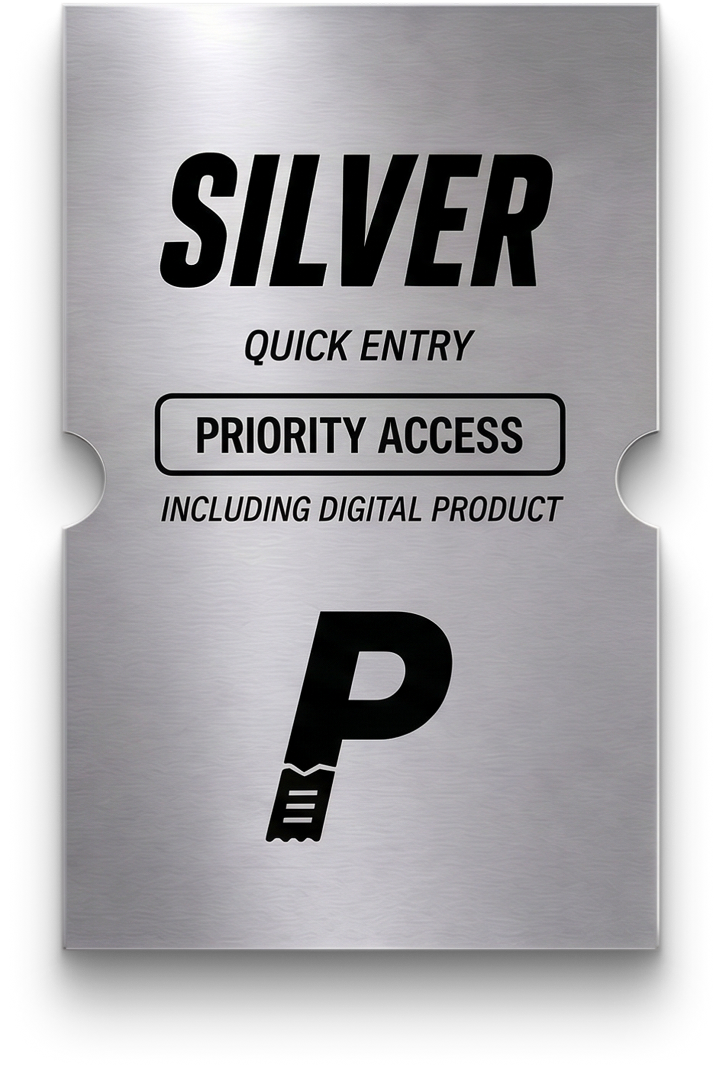 SILVER DIGITAL ENTRY